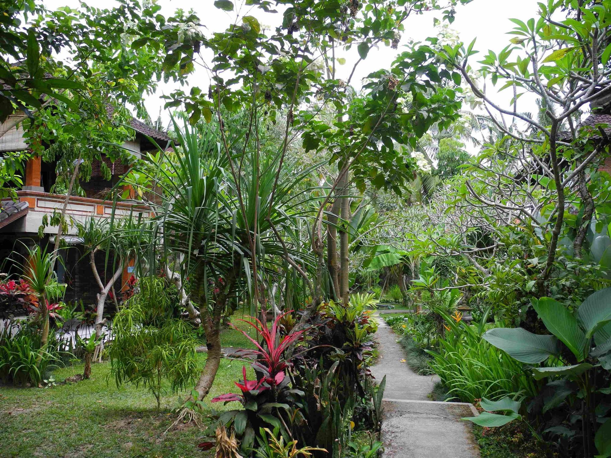 Recep Bungalow Ubud Kültér fotó