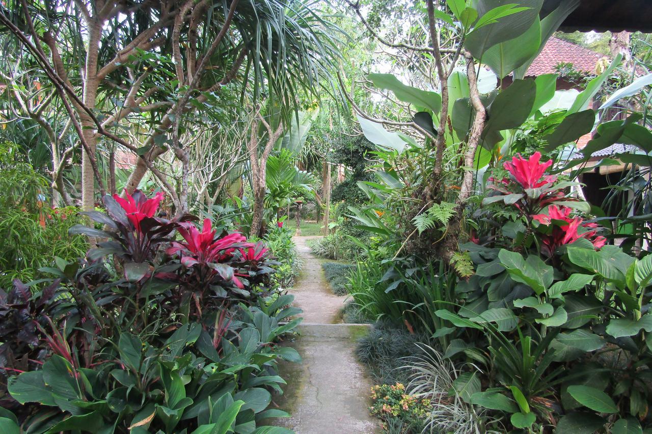 Recep Bungalow Ubud Kültér fotó